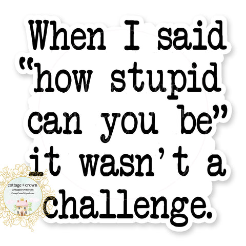 When I Said How Stupid Can You Be It Wasn't A Challenge Vinyl Sticker
