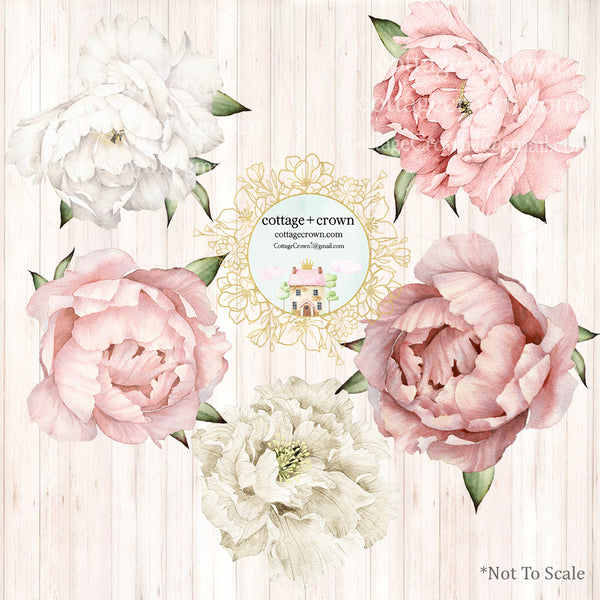 5 Classic Peony Blush Flower Wall Decals Set Pink White Nursery Décor