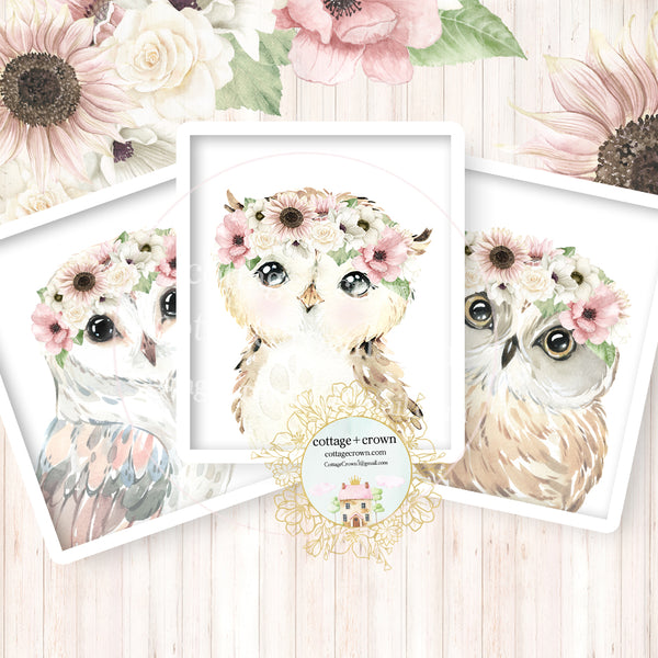 3 Boho Woodland Owl Wall Art Prints - Blush Sunflower Anemone Rose