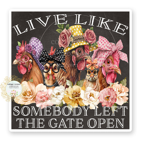 Chicken Live Like Somebody Left The Gate Open Vinyl Sticker Decal Farm Chalkboard