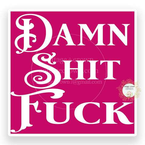 Damn Shit Fuck Vinyl Decal Sticker