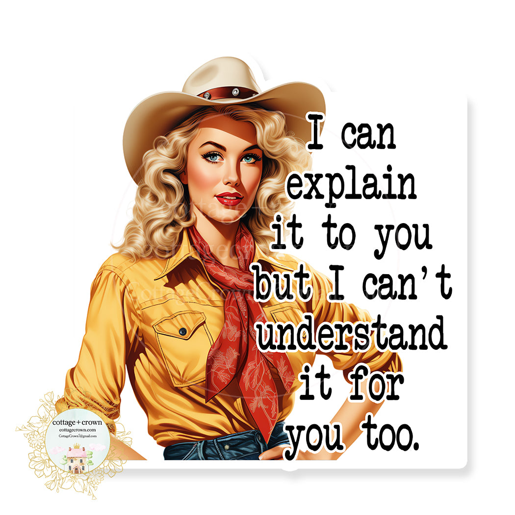 I Can Explain It To You But I Can't Understand It For You Too Vinyl Decal Sticker