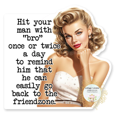 Friendzone Vinyl Decal Sticker Retro