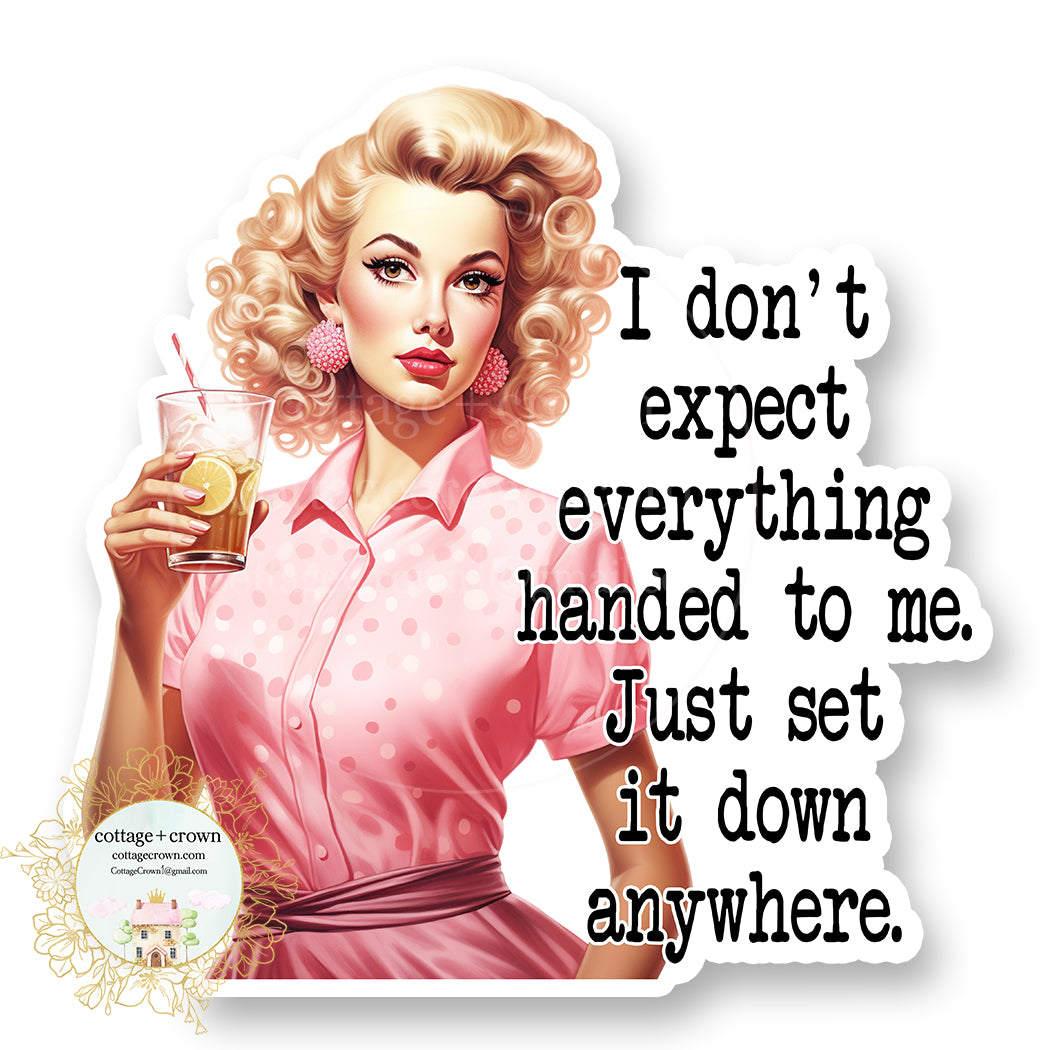 I Don't Expect Everything Vinyl Decal Sticker Funny Retro Housewife
