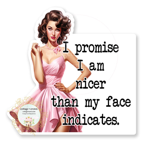 Promise I Am Nicer Than My Face Indicates Vinyl Decal Sticker