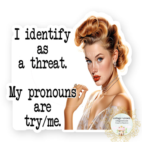 Pronouns Try Me Vinyl Decal Sticker Retro Housewife