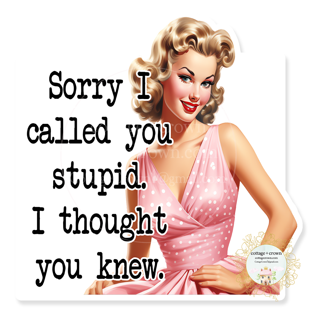 Sorry I Called You Stupid I Thought You Already Knew Vinyl Decal Sticker