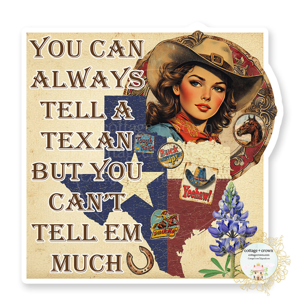 Texas Cowgirl You Can Always Tell A Texan But You Can't Tell Em Much Western Vinyl Decal Sticker