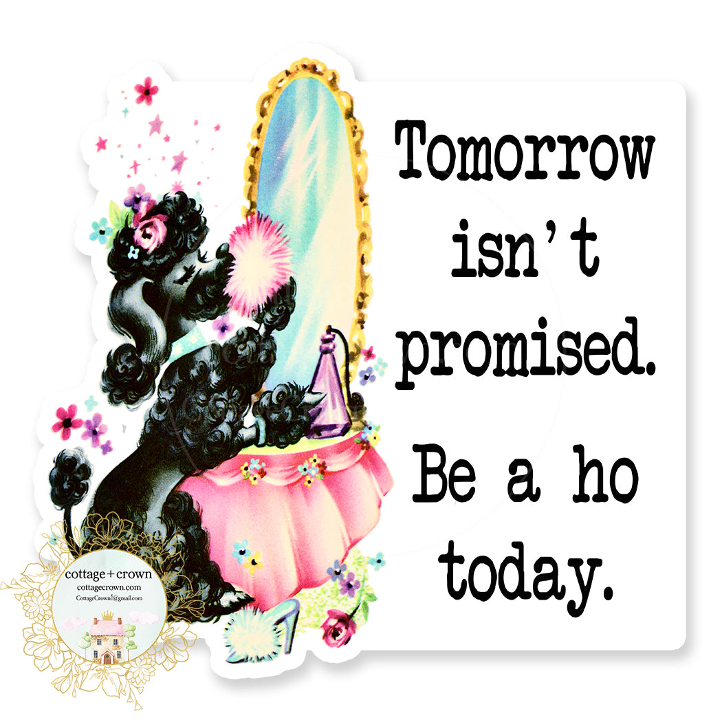 Tomorrow Isn't Promised Be A Ho Today Vintage Animals Vinyl Decal Sticker