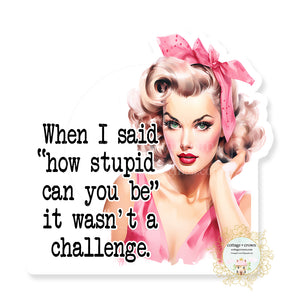 When I Said How Stupid Can You Be It Wasn't A Challenge Retro 2 Vinyl Sticker