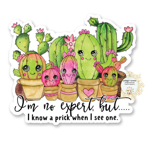 I'm No Expert But I Know A Prick When I See One Cactus - Succulent - Vinyl Decal Sticker
