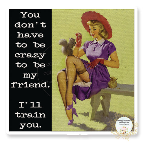 You Don't Have To Be Crazy To Be My Friend I'll Train You - Vinyl Decal Sticker - Retro Housewife
