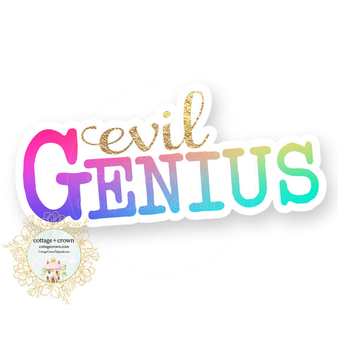 Evil Genius - Rainbow - Funny Sarcastic Vinyl Decal Sticker