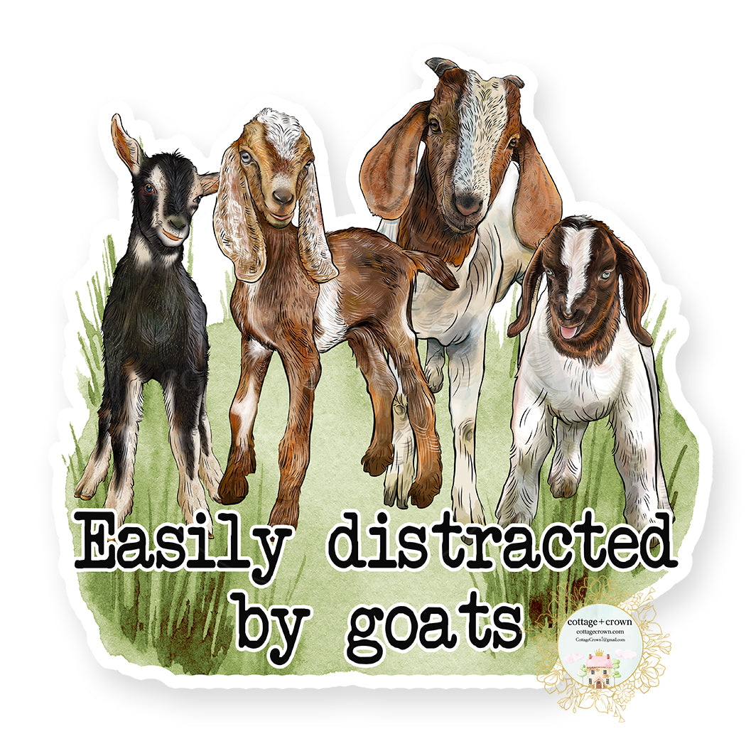Goat - Easily Distracted By Goats - Farm Animal - Vinyl Decal Sticker