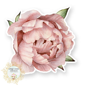 Peony 1 Blush Pink - Watercolor Floral - Wall or Furniture - Vinyl Decal Sticker