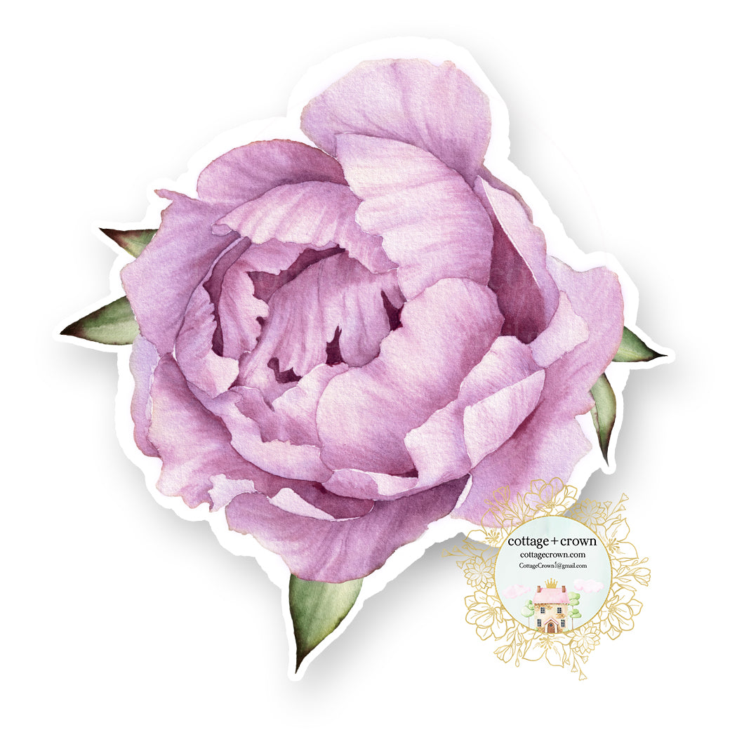 Peony 2 - Watercolor Floral - Wall or Furniture - Vinyl Decal Sticker