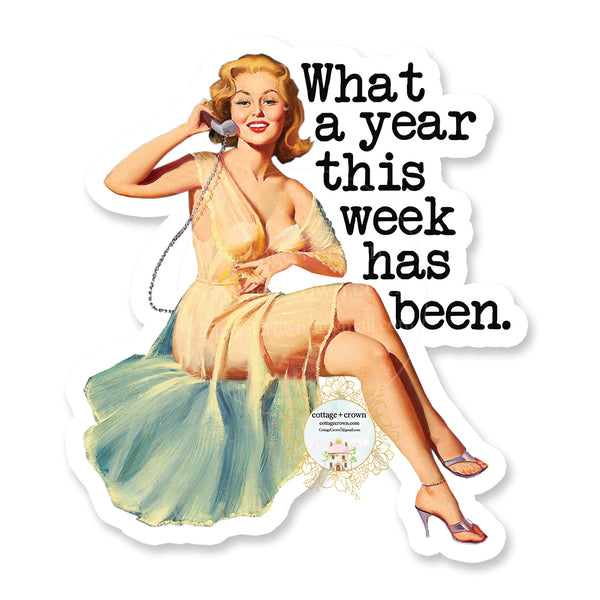 What A Year This Week Has Been - Vinyl Decal Sticker - Retro Housewife