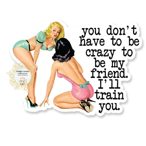 You Don't Have To be Crazy To Be My Friend I'll Train You- Vinyl Decal Sticker - Retro Housewife