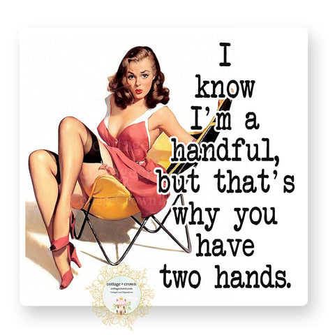 Handful - Retro Housewife - Vinyl Decal Sticker