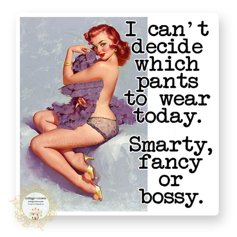 Pants Bossy Fancy Smarty Pants - Retro Housewife - Vinyl Decal Sticker