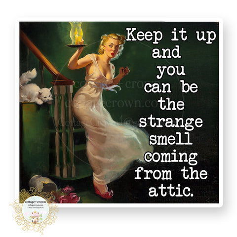 Strange Smell Coming From The Attic Vinyl Decal Sticker Retro Naughty Housewife